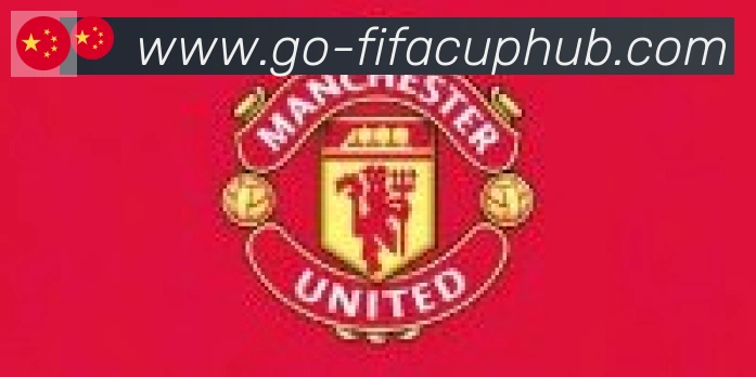 FIFA世界杯资讯官方网站合作伙伴