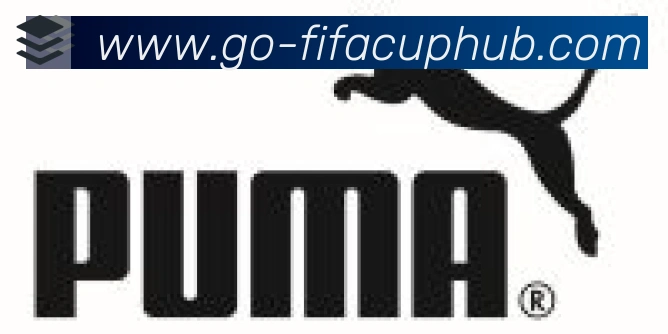 FIFA世界杯资讯官方网站合作伙伴